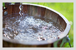 Let's Drink From the Well in 2012